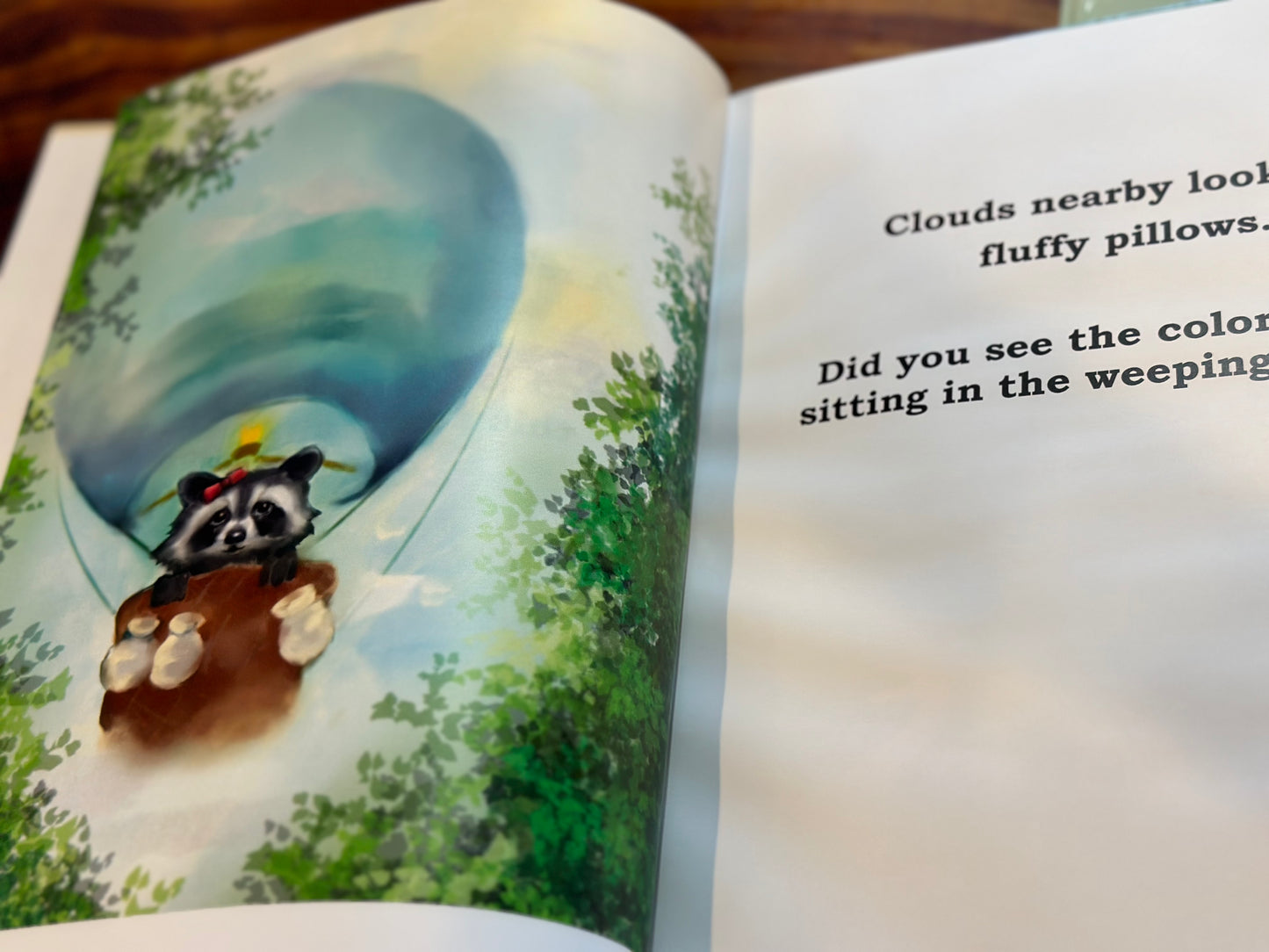 Rayne the Raccoon Book