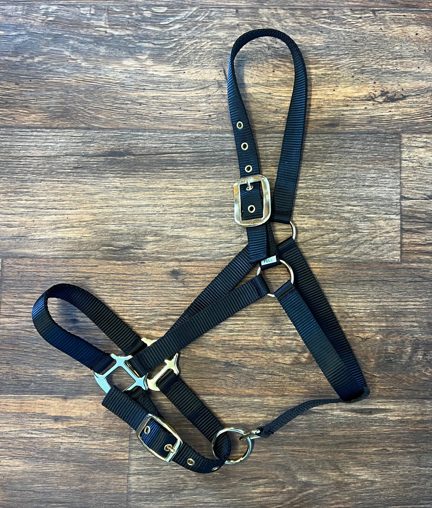 Black Horse Halter