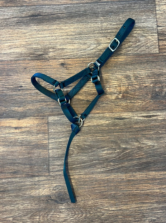 Pony Halter