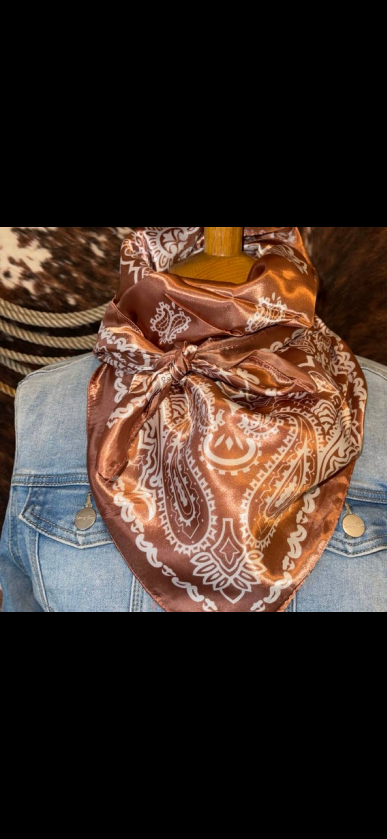 wild rag - brown bandana