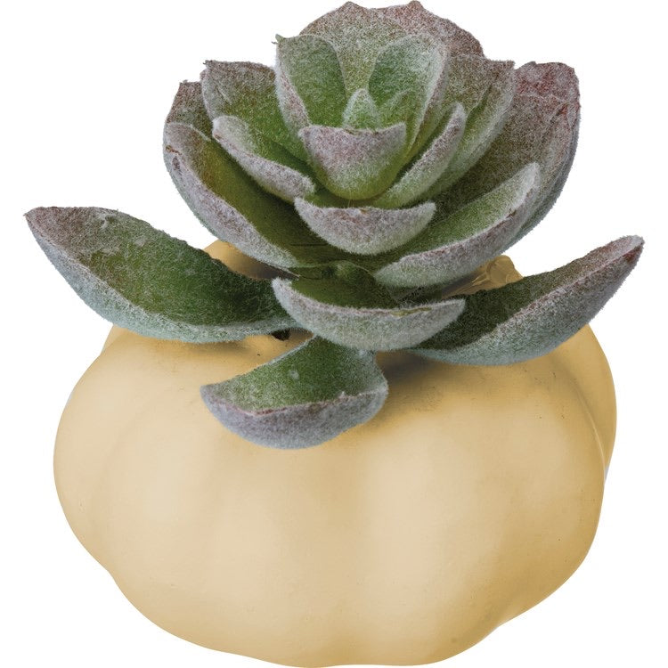 Small pumpkin planter