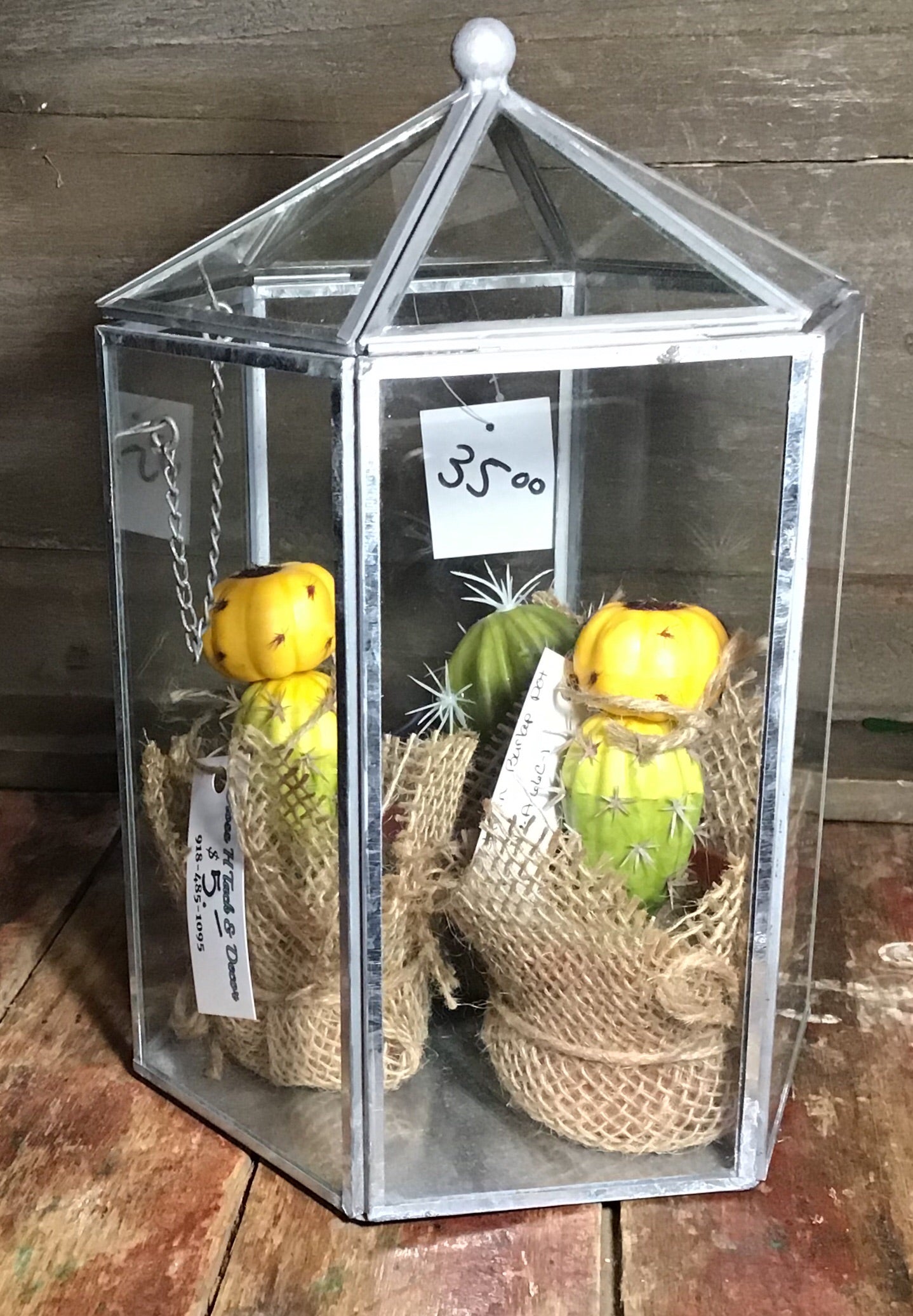 Hexagon Glass Terrarium