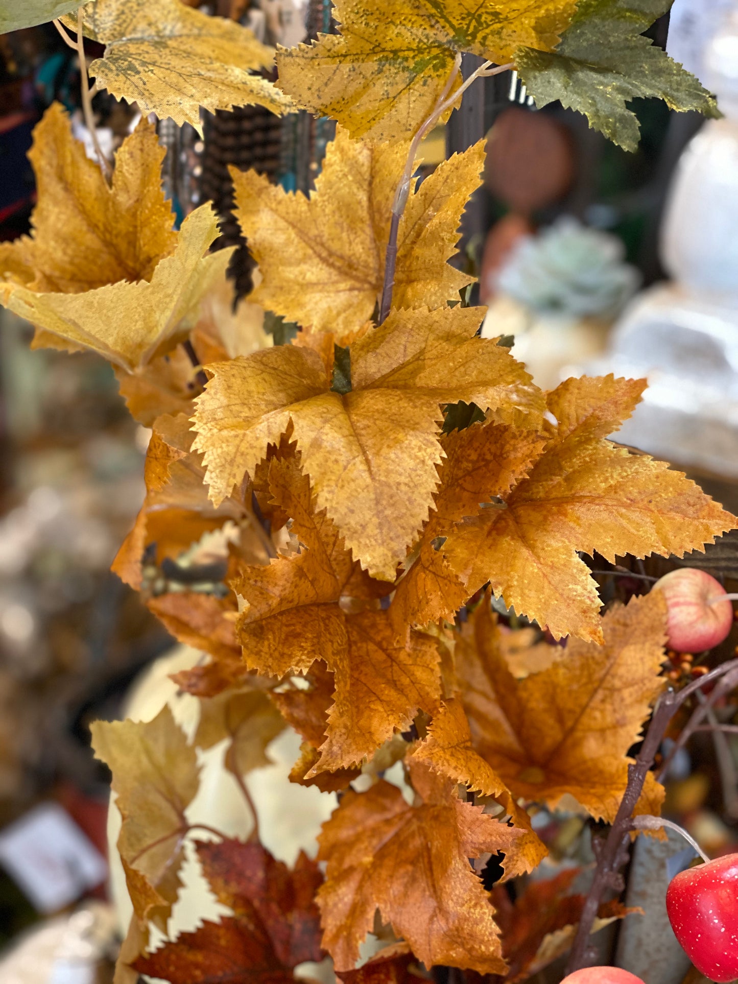 Fall leave stems