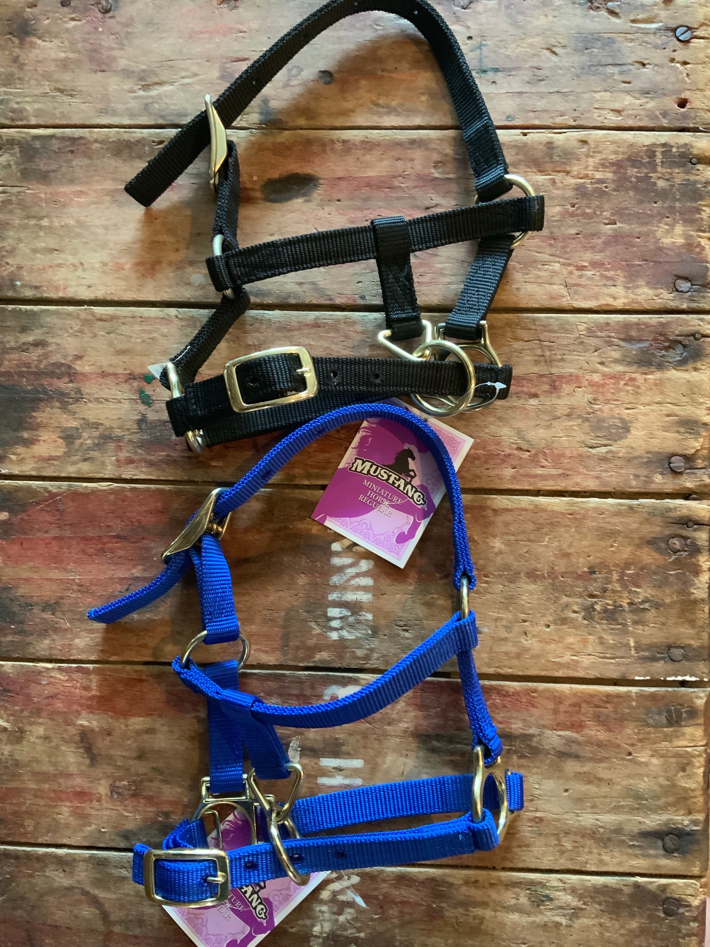 Miniature Horse Halter
