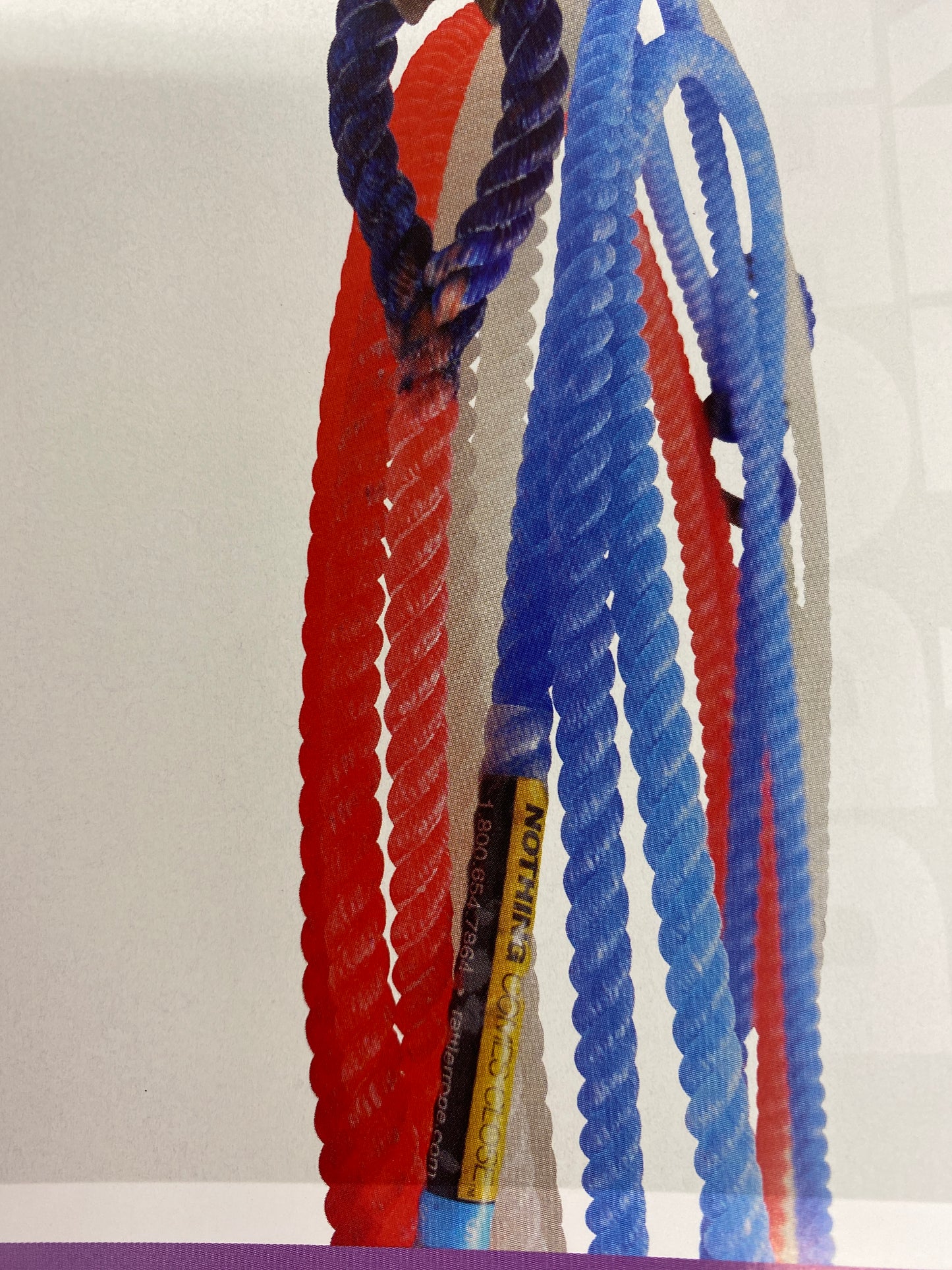 Rattler Calf Piggin String