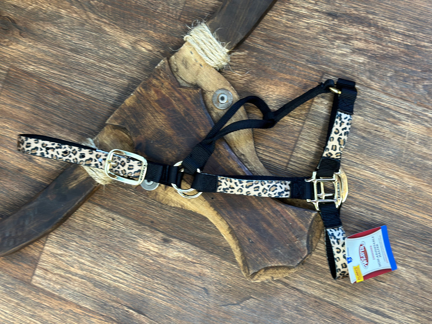 Leopard nylon halter