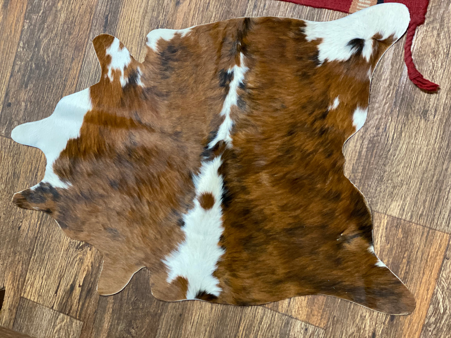XS cowhide