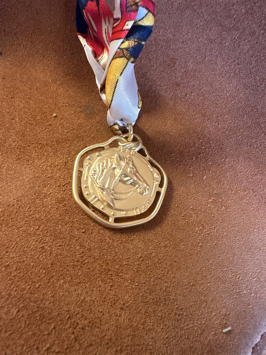 Horse coin scarf necklace