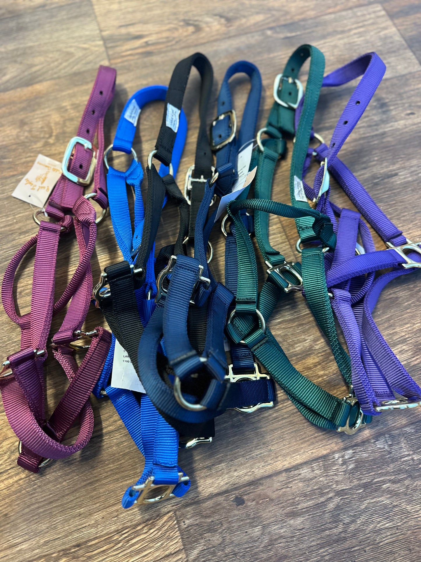 Large  horse halter