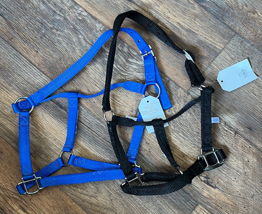 Colt Nylon Halter