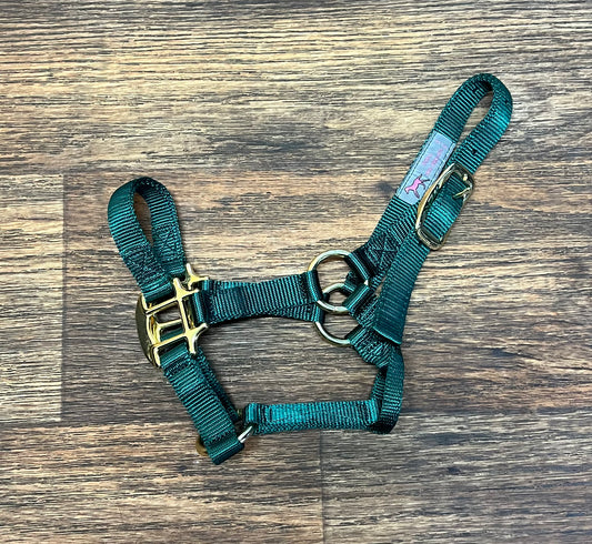 Foal Halter