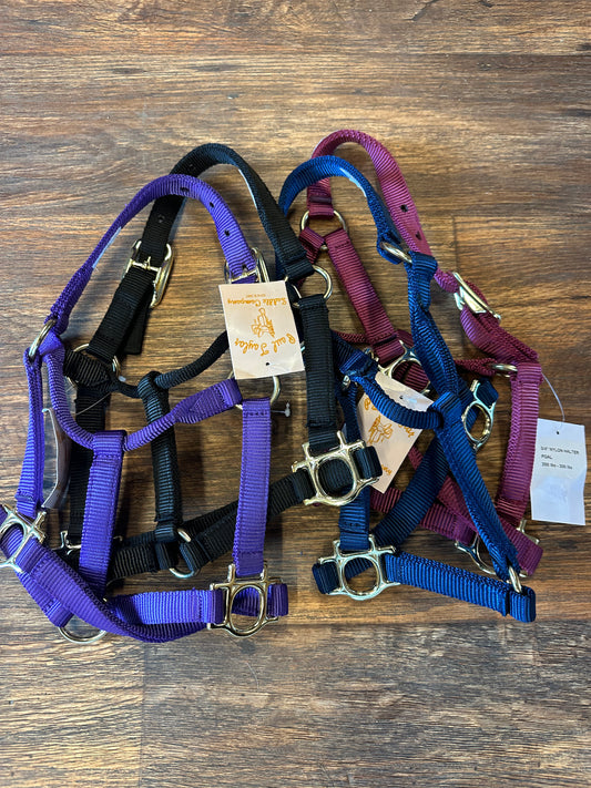 Weanling Halters