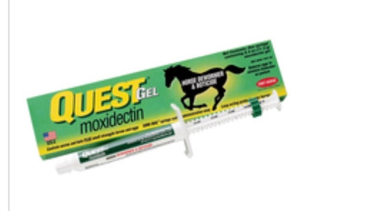 Quest Equine Wormer