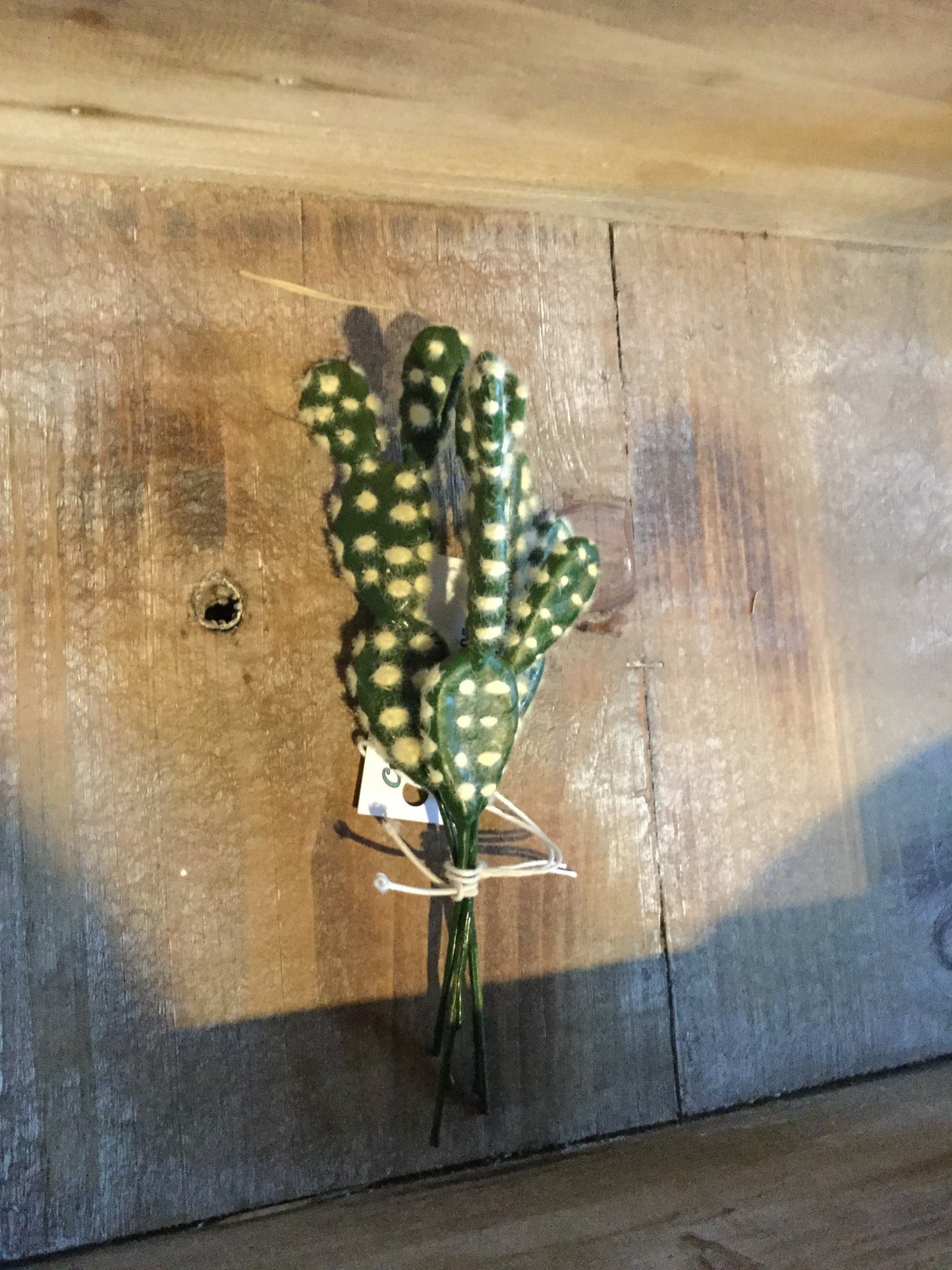 Cactus Picks