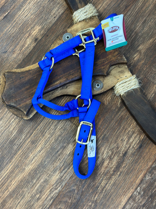 Yearling horse halter