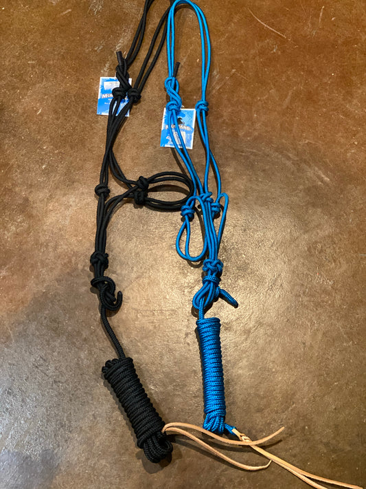 Trail halter and lead