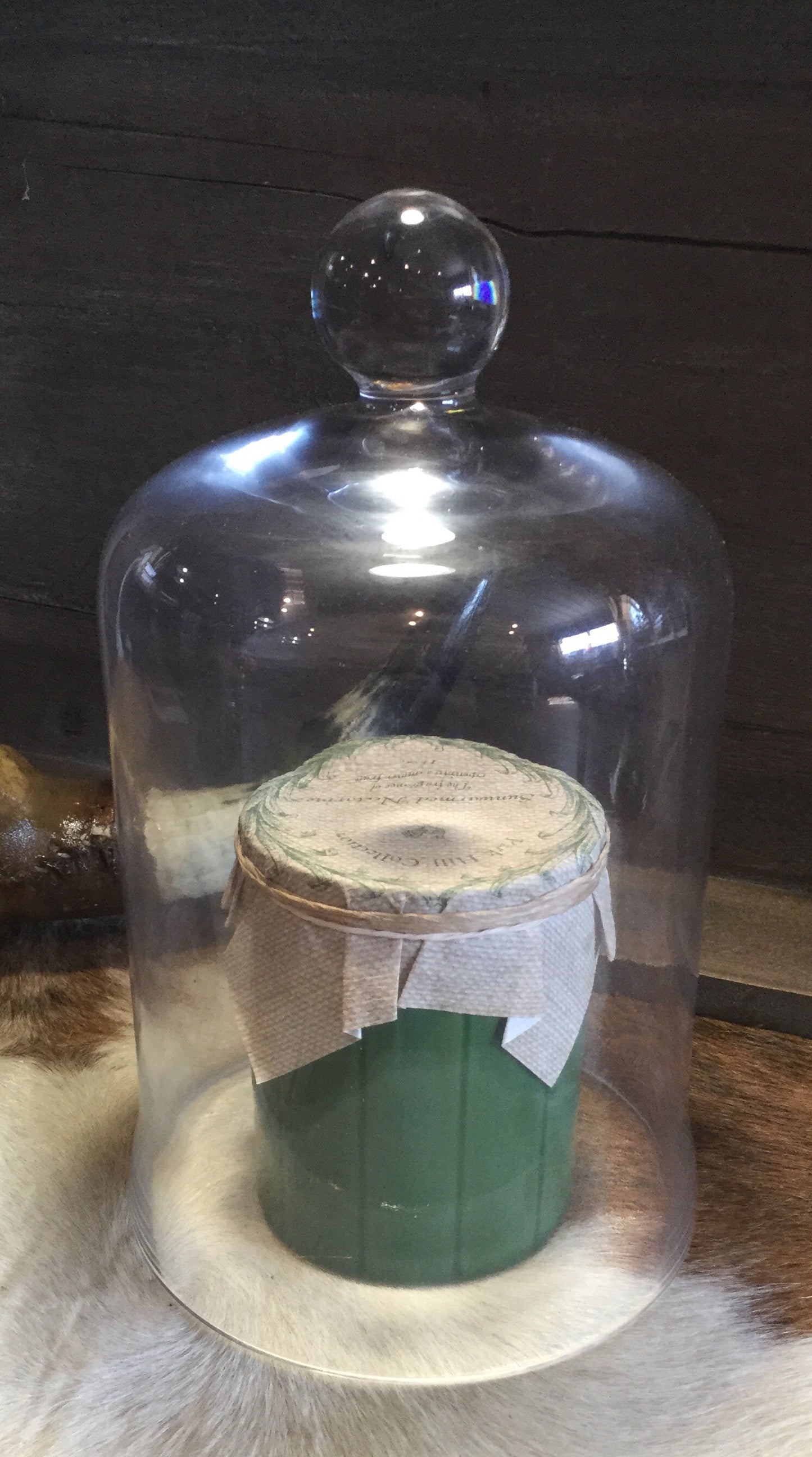 Glass Bell Jar