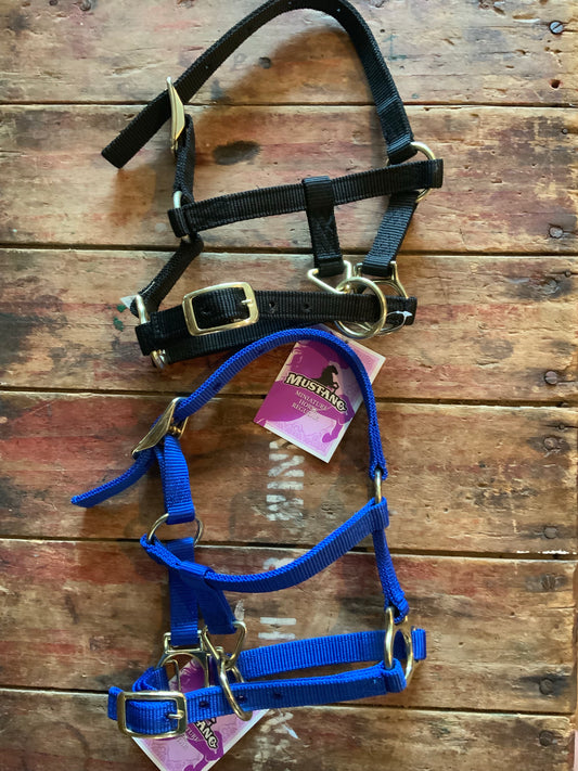 Miniature Horse Halter