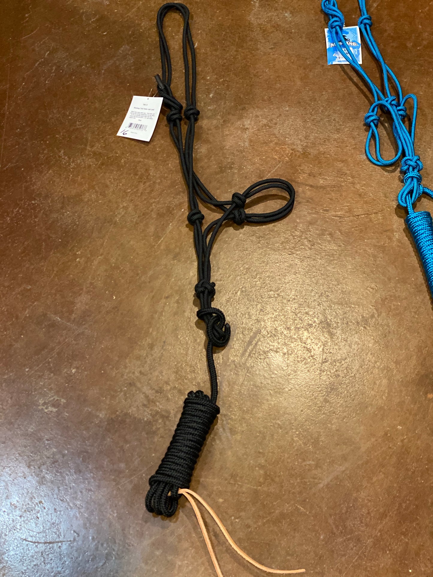 Trail halter and lead