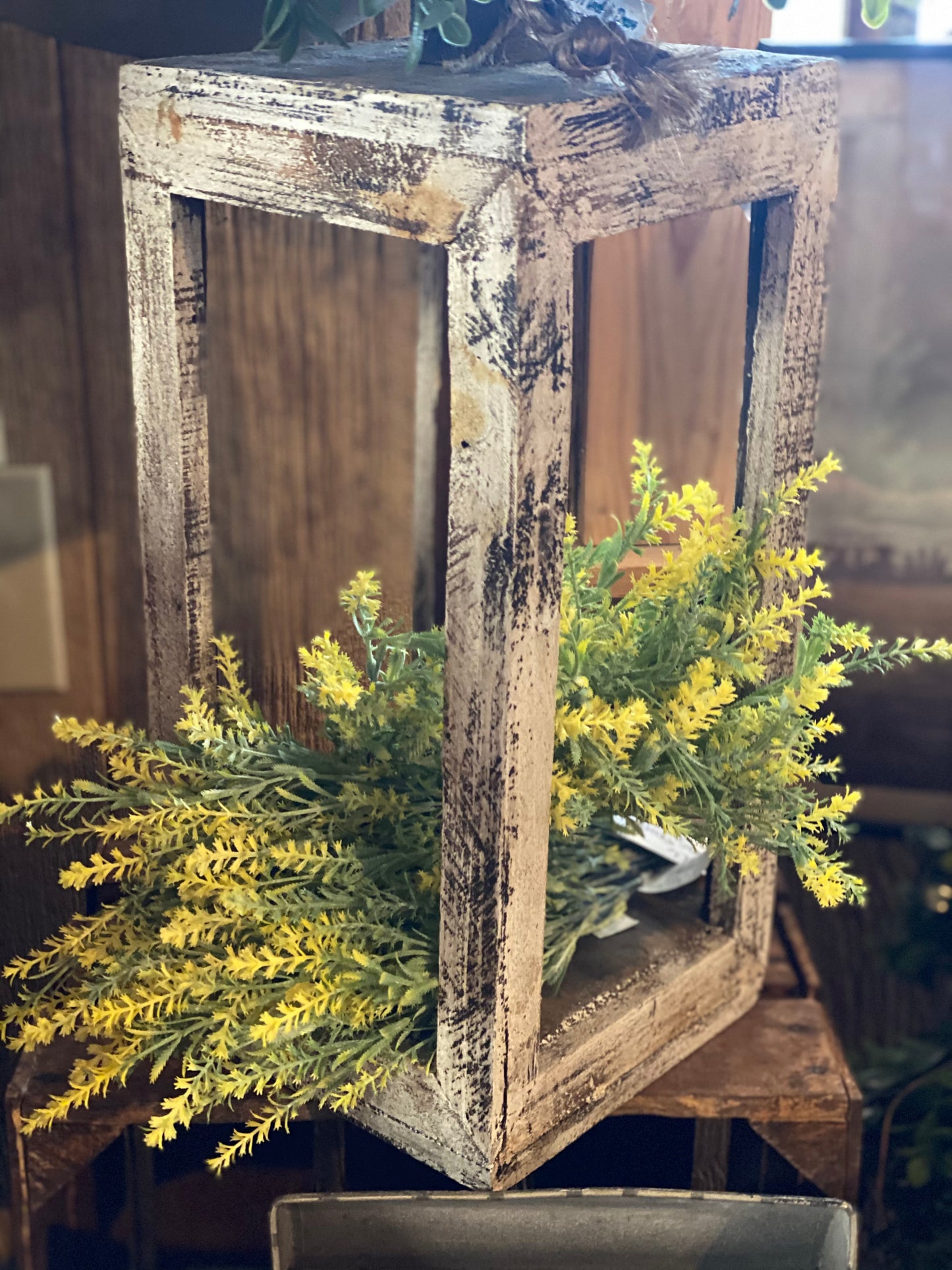 Yellow Flowered Herb