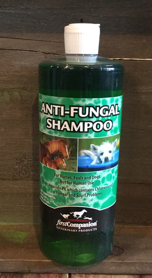 Anti-Fungal Shampoo