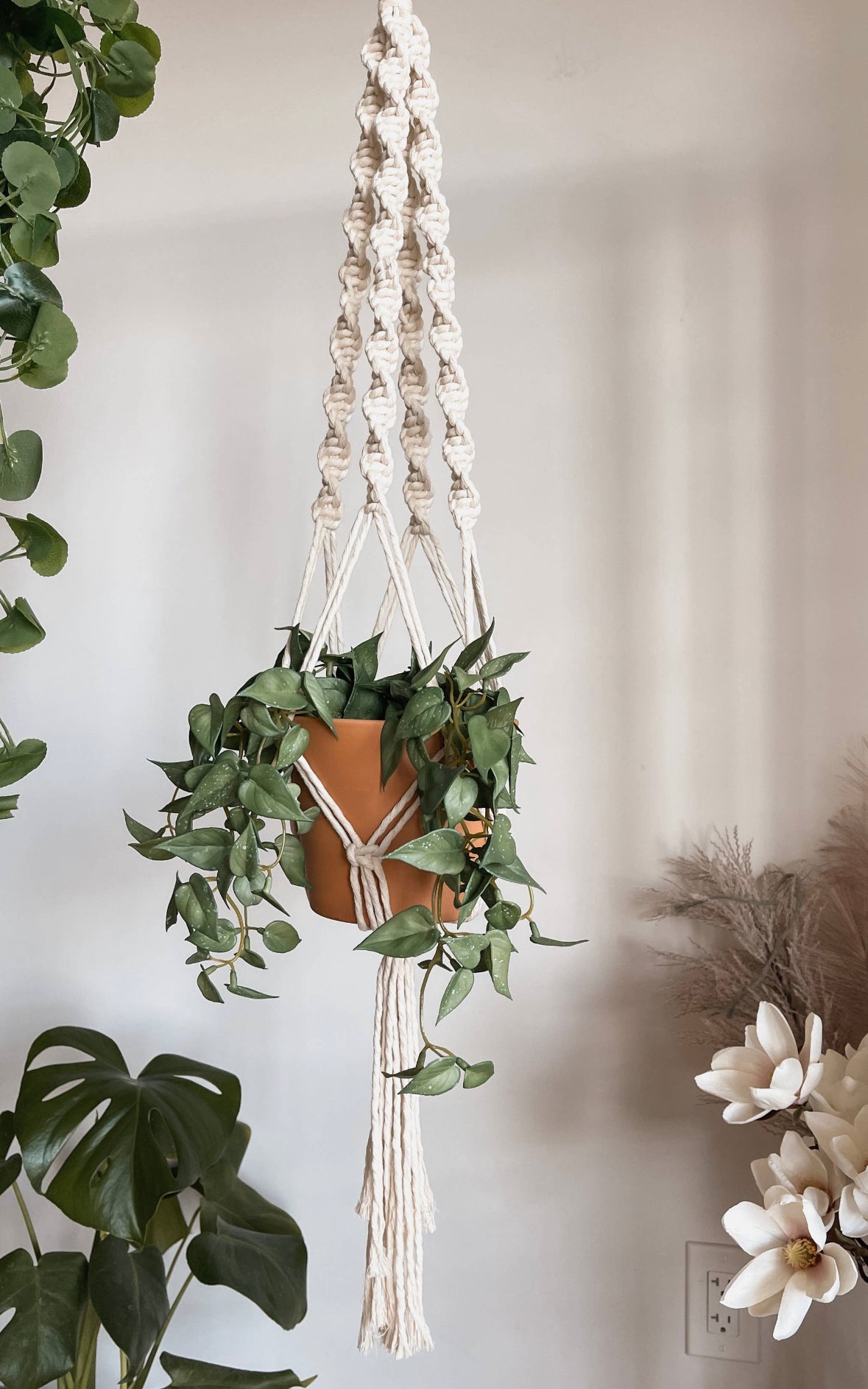 macramé plant hanger