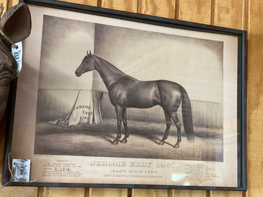 Prized Race Horse picture